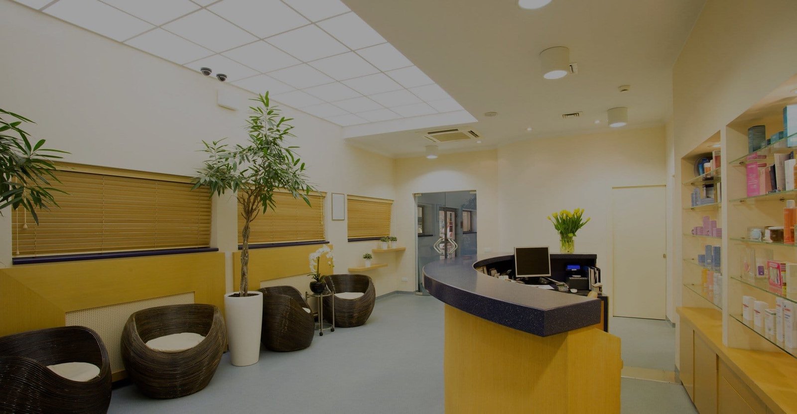 commercial painting virginia